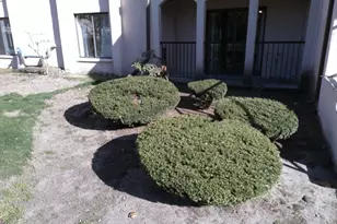 685 Oak St, Brockton, MA 02301 - Photo 6