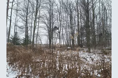 90 Williamsburg Rd, Worthington, MA 01098 - Photo 6