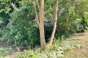 44 Boardman St, Worcester, MA 01606 - Photo 18