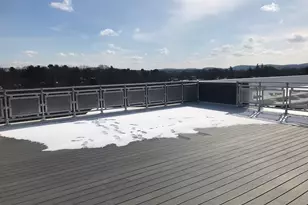 466 River St, Boston, MA 02126 - Photo 12