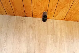 10 Gerald Ct, Leicester, MA 01524 - Photo 8