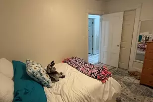 190 L St, Boston, MA 02127 - Photo 6