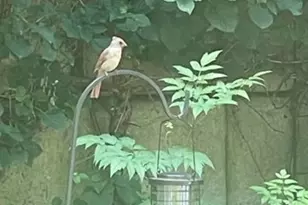 10 Shore Rd, Plymouth, MA 02360 - Photo 36