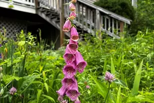 34 Whispering Pine Dr, West Brookfield, MA 01585 - Photo 28