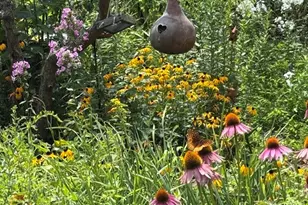 34 Whispering Pine Dr, West Brookfield, MA 01585 - Photo 26