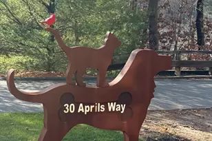 30 April's Way, Tewksbury, MA 01876 - Photo 42