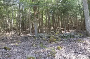 Lot 1 Thayer Hill Rd, Worthington, MA 01098 - Photo 1