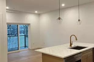 10 Rockland St, Boston, MA 02119 - Photo 4