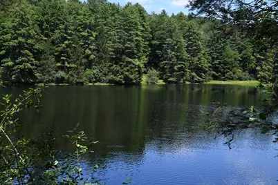 0 Amherst Rd, Pelham, MA 01002 - Photo 6