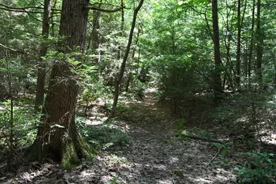 0 Amherst Rd, Pelham, MA 01002 - Photo 26