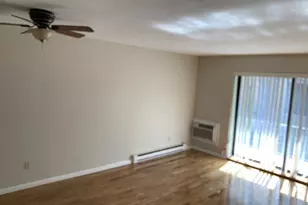 44 Maple St, Boston, MA 02136 - Photo 8