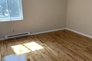 44 Maple St, Boston, MA 02136 - Photo 12