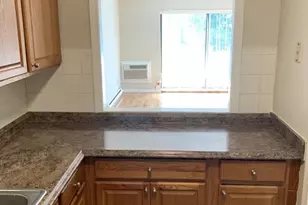 44 Maple St, Boston, MA 02136 - Photo 6