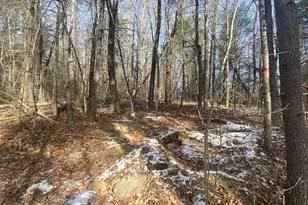 121 & Lt12 Sturbridge Rd, Brimfield, MA 01010 - Photo 1