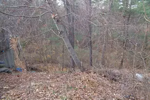 20 Marc Ave, Southbridge, MA 01550 - Photo 4