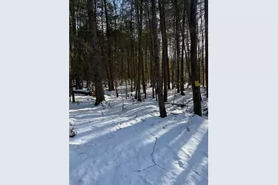 0 Four Mile Brook Rd, Northfield, MA 01360 - Photo 2