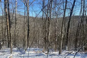 593 Old Warren Rd, Palmer, MA 01069 - Photo 1