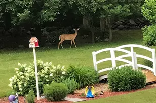 3 Joyce Dr, Tyngsborough, MA 01879 - Photo 38