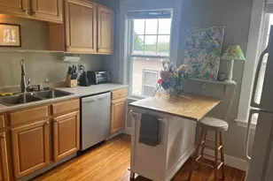 15 Parkton Rd, Boston, MA 02130 - Photo 24