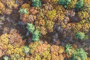 89 Lexington Rd, Lincoln, MA 01773 - Photo 6