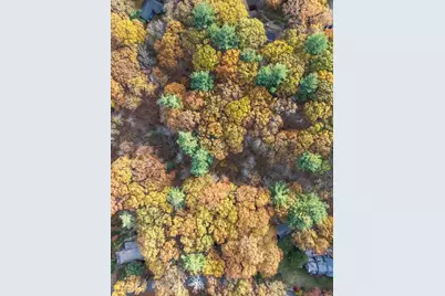 89 Lexington Road, Lincoln, MA 01773 - Photo 6