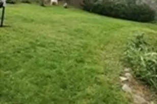 41-43 Snow St, Boston, MA 02135 - Photo 12