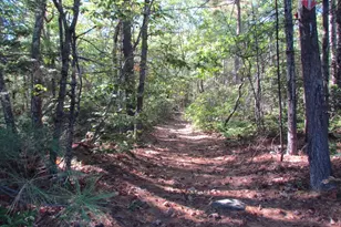 507 W Townsend Rd, Lunenburg, MA 01462 - Photo 8