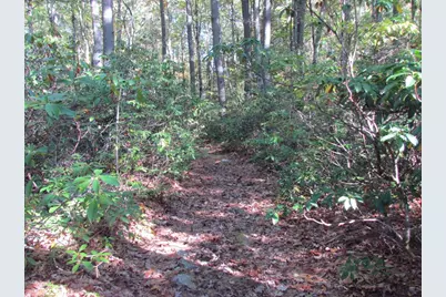 507 West Townsend Road, Lunenburg, MA 01462 - Photo 6