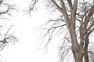 10 Elise Michelle Wy, Westport, MA 02790 - Photo 10