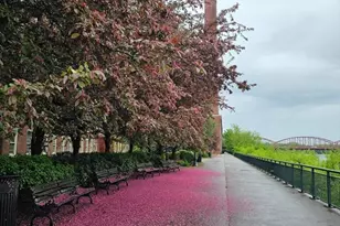 52 Lawrence Dr, Lowell, MA 01854 - Photo 10