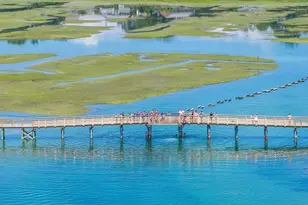 5 Canary St, Sandwich, MA 02563 - Photo 8