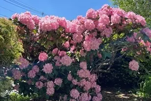 17 Wakefield St, Reading, MA 01867 - Photo 34