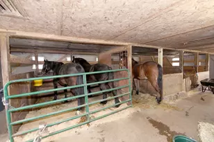 295 Cherry St, Middleborough, MA 02346 - Photo 28