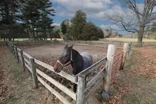 295 Cherry St, Middleborough, MA 02346 - Photo 22