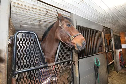 295 Cherry St, Middleborough, MA 02346 - Photo 24