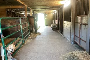 295 Cherry St, Middleborough, MA 02346 - Photo 10