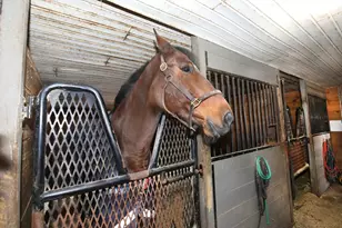 295 Cherry St, Middleborough, MA 02346 - Photo 24