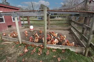 295 Cherry St, Middleborough, MA 02346 - Photo 20