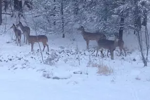 64 Oak Hill Rd, Worcester, MA 01609 - Photo 42