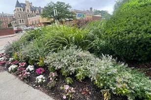 1731 Beacon St, Brookline, MA 02445 - Photo 12