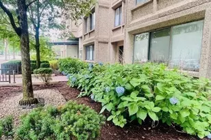 1731 Beacon St, Brookline, MA 02445 - Photo 22