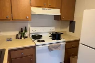 524 Putnam, Cambridge, MA 02139 - Photo 8