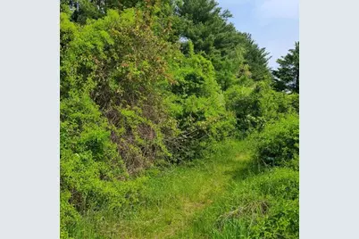 301 Tinkham Road, Springfield, MA 01129 - Photo 2