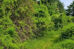 301 Tinkham Rd, Springfield, MA 01129 - Photo 2