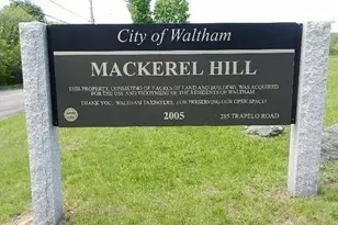 85 Trapelo, Waltham, MA 02452 - Photo 14