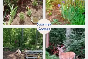 40 Woodrise Rd, Falmouth, MA 02540 - Photo 38