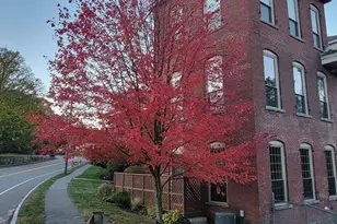 12 Brookside Rd, Westford, MA 01886 - Photo 26