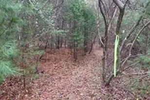 50 Cross St & 0 Cross (Rear), Lakeville, MA 02347 - Photo 40