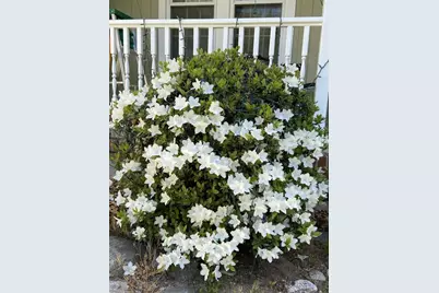 7 Concetta Cir, Acton, MA 01720 - Photo 32