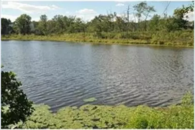 40 Cochituate Rd #40, Framingham, MA 01701 - Photo 2